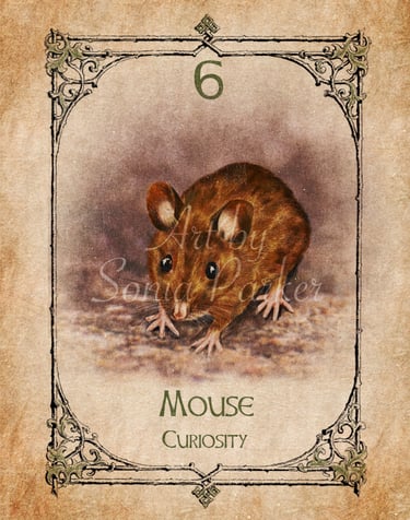 Mouse, a card from the animal spirit oracle deck