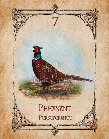 Pheasant card from the animal spirit oracle deck