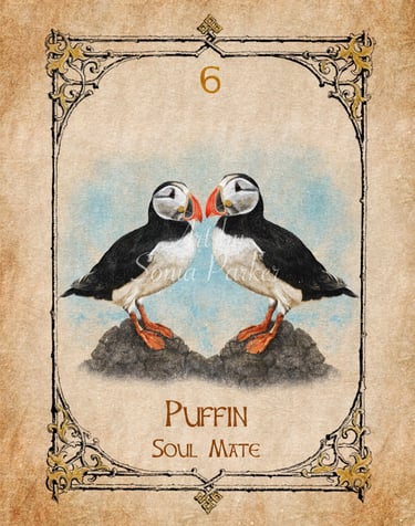 Two Puffins standing looking at eachother, bright orange beaks and legs against the black and white 