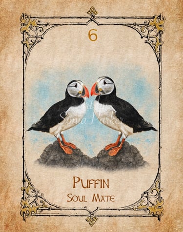 Puffin, a card from the animal spirit oracle deck
