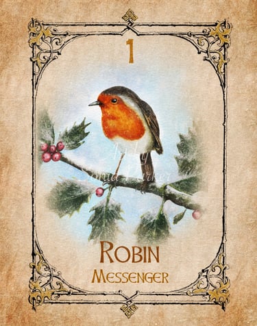 Robin, a card from the animal spirit oracle deck