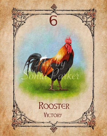 Rooster card from the animal spirit oracle deck