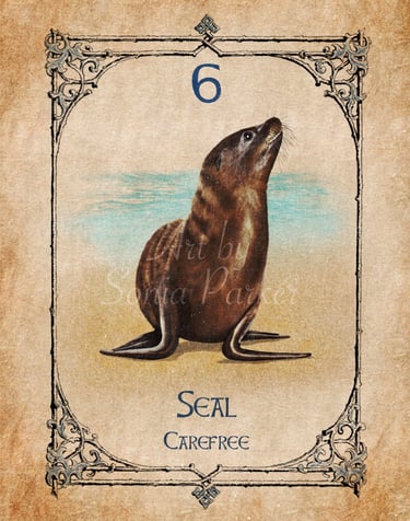 Seal card from the animal spirit oracle deck