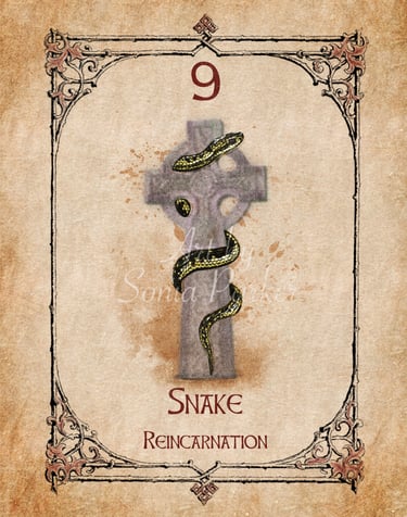 Snake card from the animal spirit oracle deck