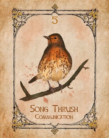 Song Thrush in full plumage standing on a branch ready to sing