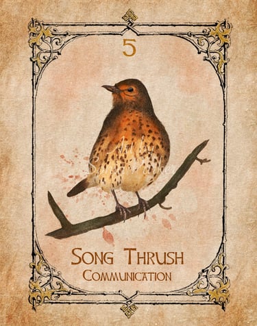 Song Thrush, a card from the animal spirit oracle deck