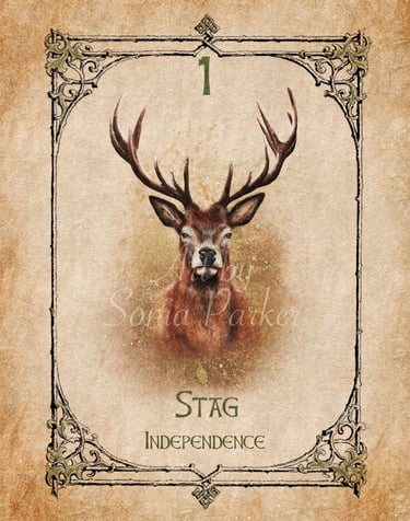Stag from the Animal Spirit Oracle deck