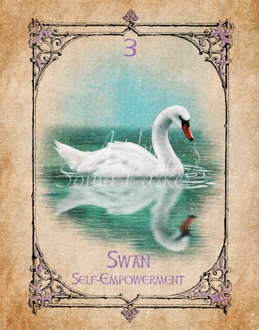 Swan card from the animal spirit oracle deck