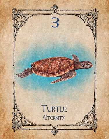 Turtle card from the animal spirit oracle deck