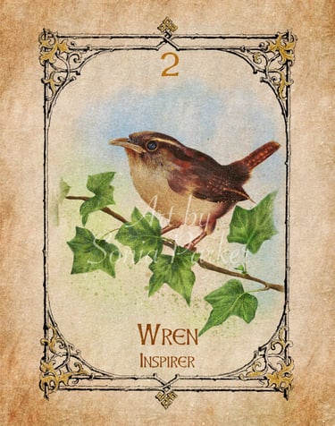  A Wren sitting on a holly branch, in full plumage every shade of brown imaginable