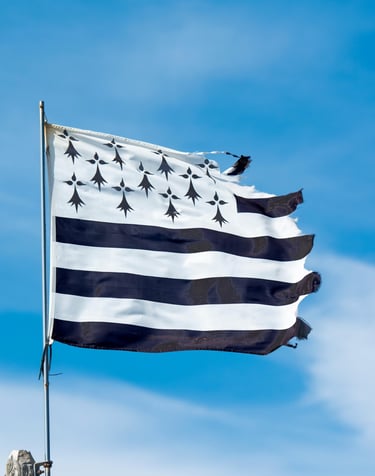 a flag - like flag with a star spangled flag
