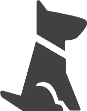 Éducation canine