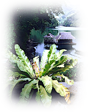 a picture of a woman sitting on a bench in front of a lake