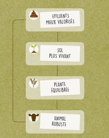 Solutions naturelles pour sols vivants, élevages sains et fermes durables en Aveyron