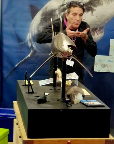 alain surina et la maquette requin Hubert