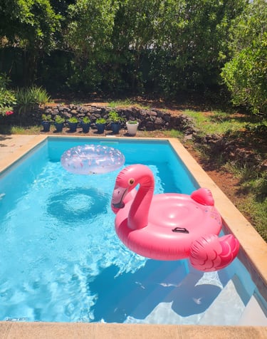 photo-piscine-avis-stephan