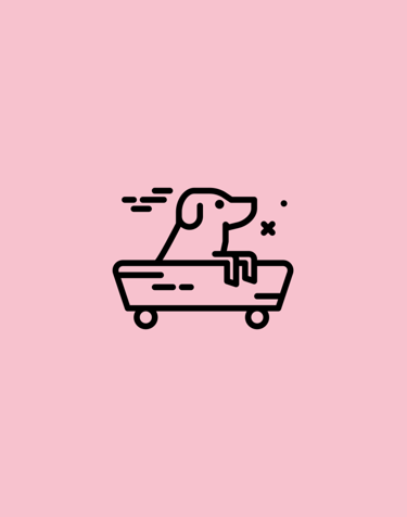 Secure and suitable transport to pick up and return your dog to your home