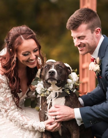 a bride and groom pose with their dog for a photo
