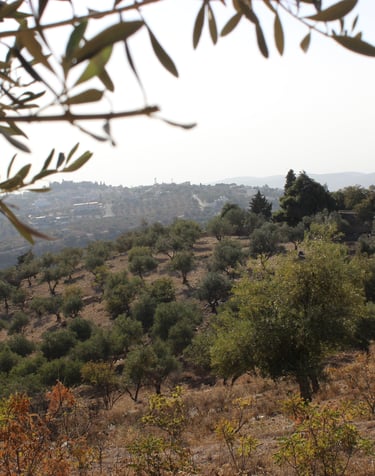 حكاية عائلة مخزون 