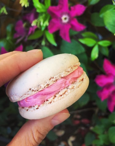 Macaron rose