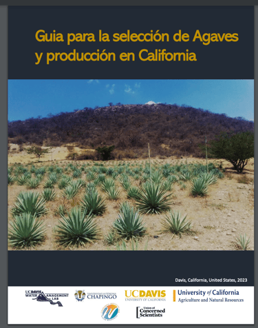 Spanish Version Guide California Agave Selection and Production