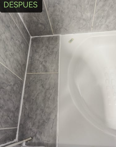 resultado de la de limpiezas de juntas de la ducha