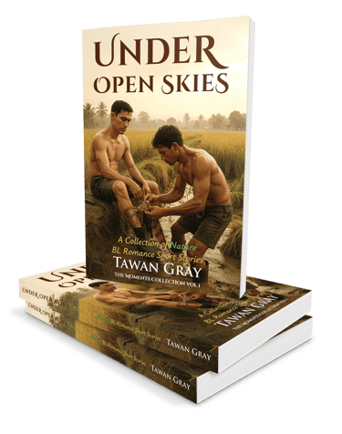 Under Open Skies