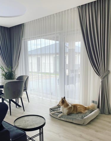 Užuolaidos, guolis, augintinis guli ant guolio