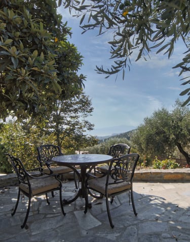 Gemütliche Terrasse mit Tisch und Stühlen im Olivenhain, perfekt zum Verweilen und Entspannen