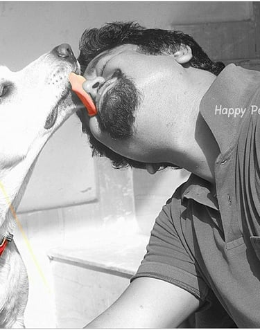 Dog Boarding, Dog Boarding near me, Pet Boarding, Pet Boarding near me, Dog Care, Happy Pettings