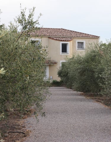 Domaine Des Lucques looking from the front within a distance