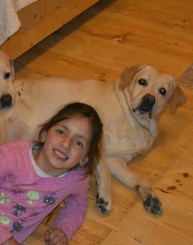 Dog Boarding, Dog Boarding near me, Pet Boarding, Pet Boarding near me, Dog Care, Happy Pettings