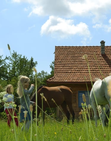 Sękiewiczówka - agroturystyka małopolska - gospodarstwo agroturystyczne dla dzieci