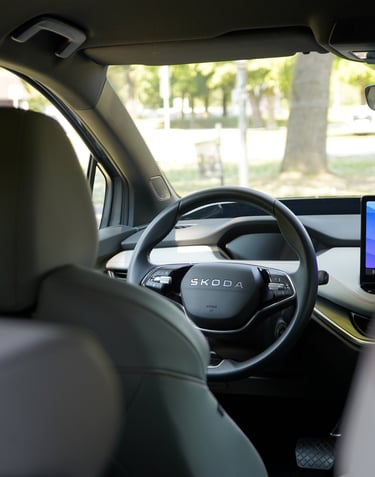 sitze shampooniere, sitze reinigen, sitze nasssaugen, sitze fleck entfernen leibnitz, keramikversieg