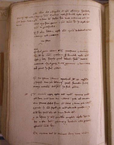 Paper records from 1302 Bologna.