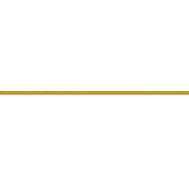 A single horizontal gold line divider centered on a solid black background.