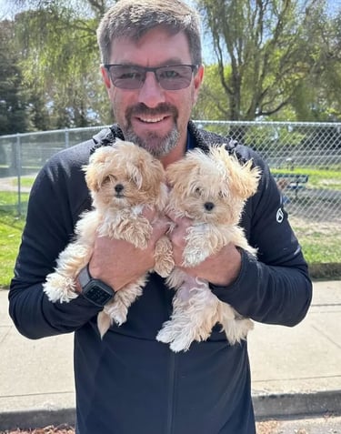 Maltipoo Puppies for Sale