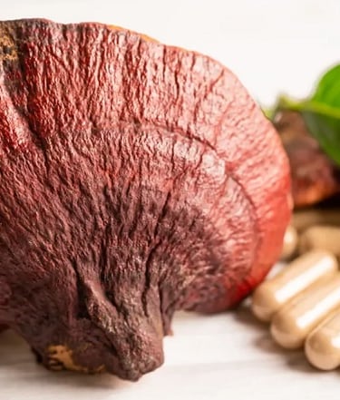 Seta Reishi junto a cápsulas de reishi