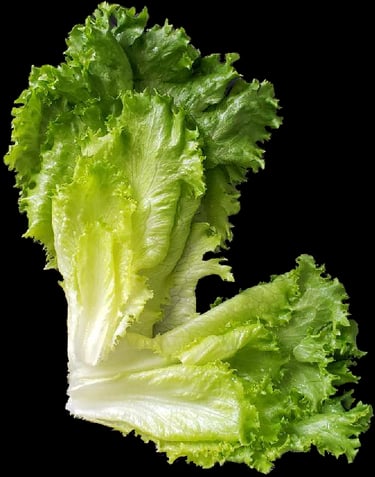 Lettuce
