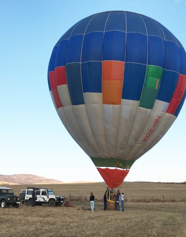 a hot air balloon in the middle of a field