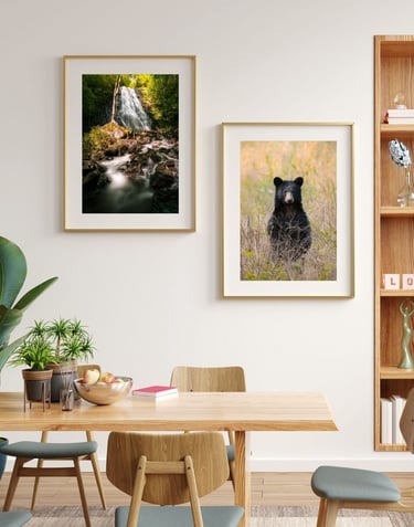 Nate Bowery Photography prints hanging on the wall. One shows a bear and the other is a waterfall