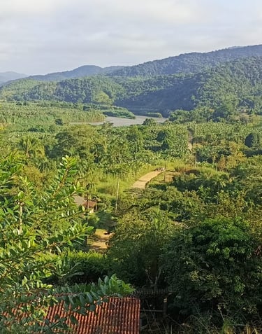 Paisagem do Vale do Ribeira.