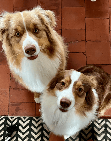 la maison haute Chambres our 2/4/6 personnes avec Salon et accès terrasse privative chaleureuse