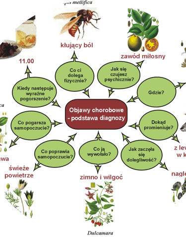 Best Homeopathy clinic Faridabad BP sugar arthritis thyroid homeopathy allergy medicines physician