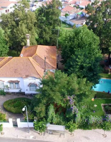 Aerial view of a Mediterranean villa with a clay tile roof, lush green garden, and private swimming pool.
