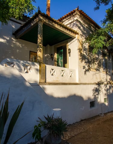 Classic white Mediterranean style villa with a terracotta roof, stone terrace, and lush garden trees.