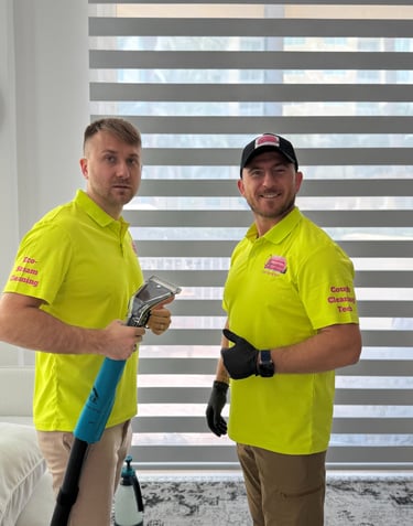 upholstery cleaning service