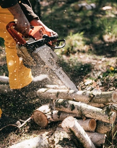 tree trimming in baton rouge
