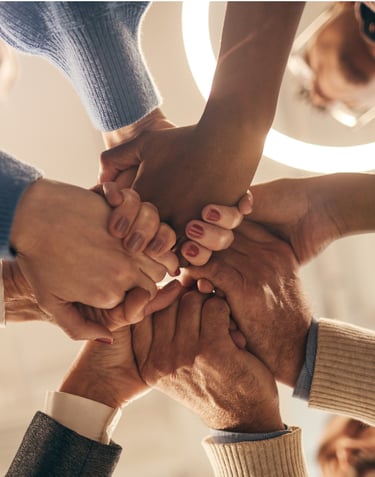 Porque escolher a MSN Consult