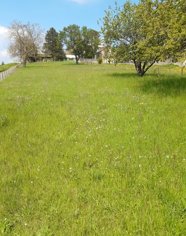 entretien jardin cluny 71